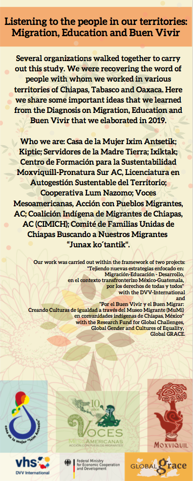 Infographics of Research into Migration, Education and Development
